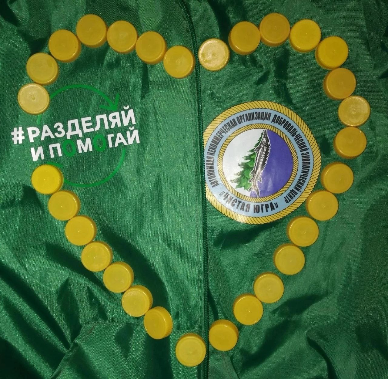 Повышение экологической культуры школьника в учебной и досуговой деятельности