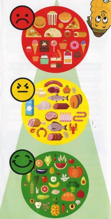 Разработка буклетов о здоровом питании