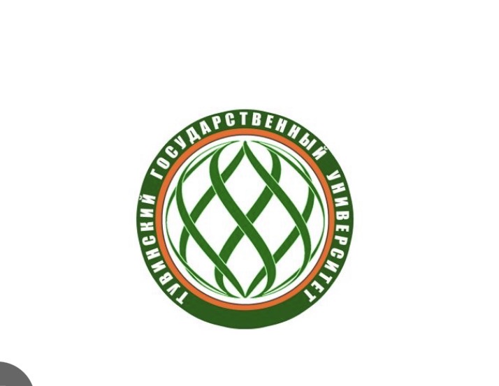 Проект организация мероприятий для  вовлечения иностранных студентов в социо-культурную среду ТувГУ