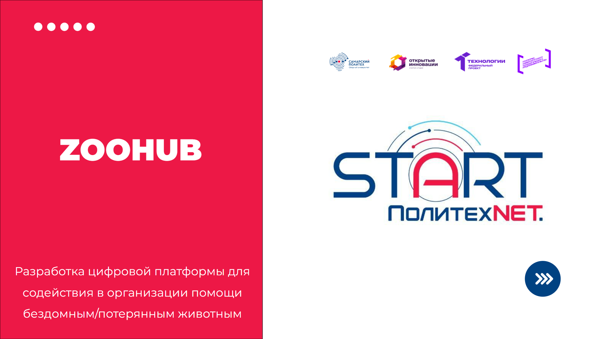 Разработка и внедрение региональной цифровой платформы для организации помощи бездомным животным 