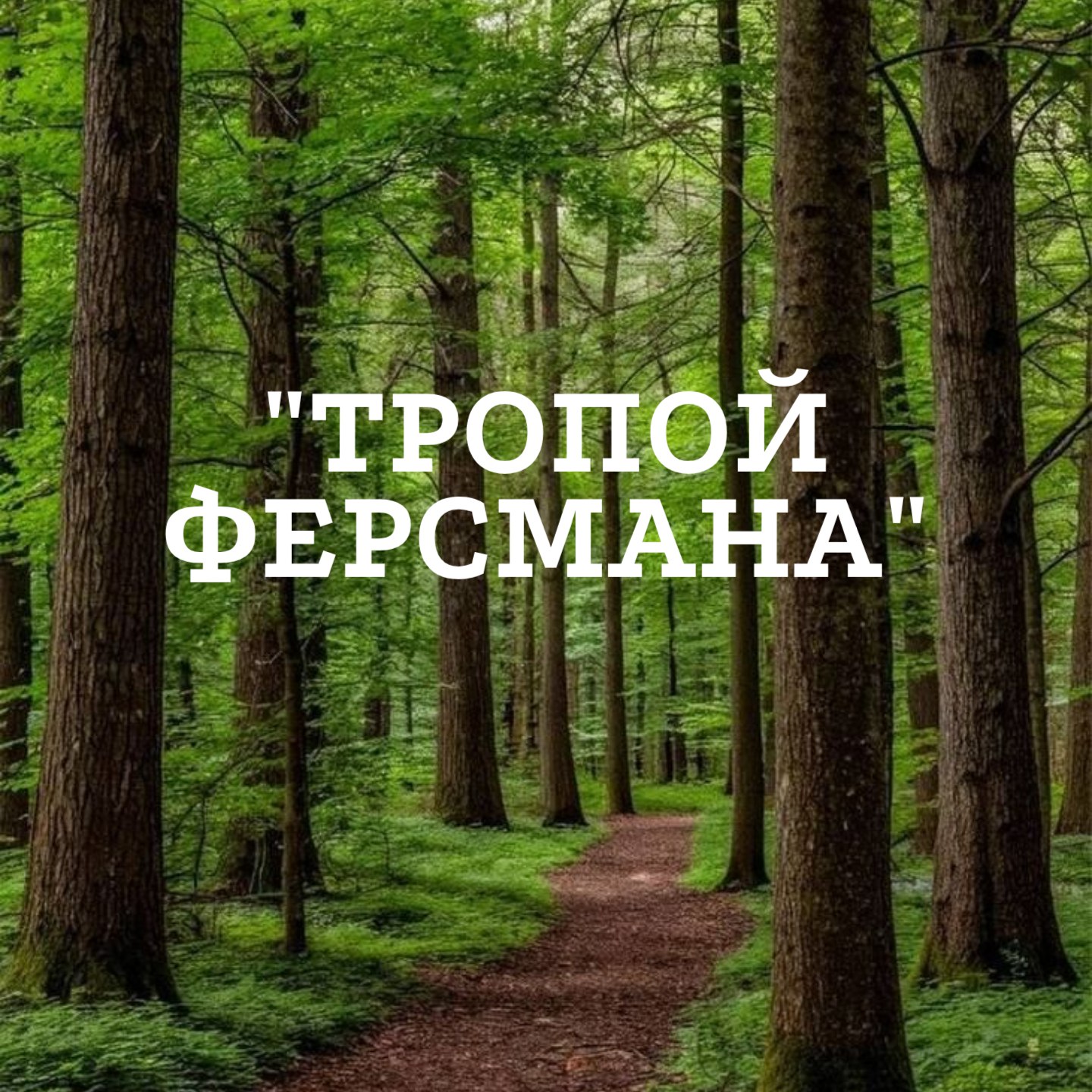 Дизайн логотипа для социально-значимого проекта туристического клуба "Тропой Ферсмана"