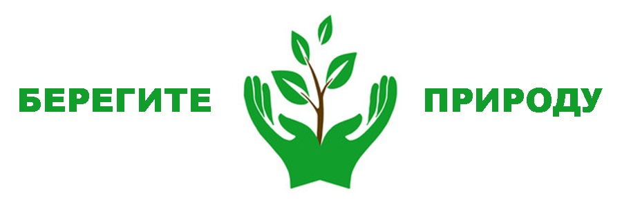 Разработка социального плаката "Защитим  природу"