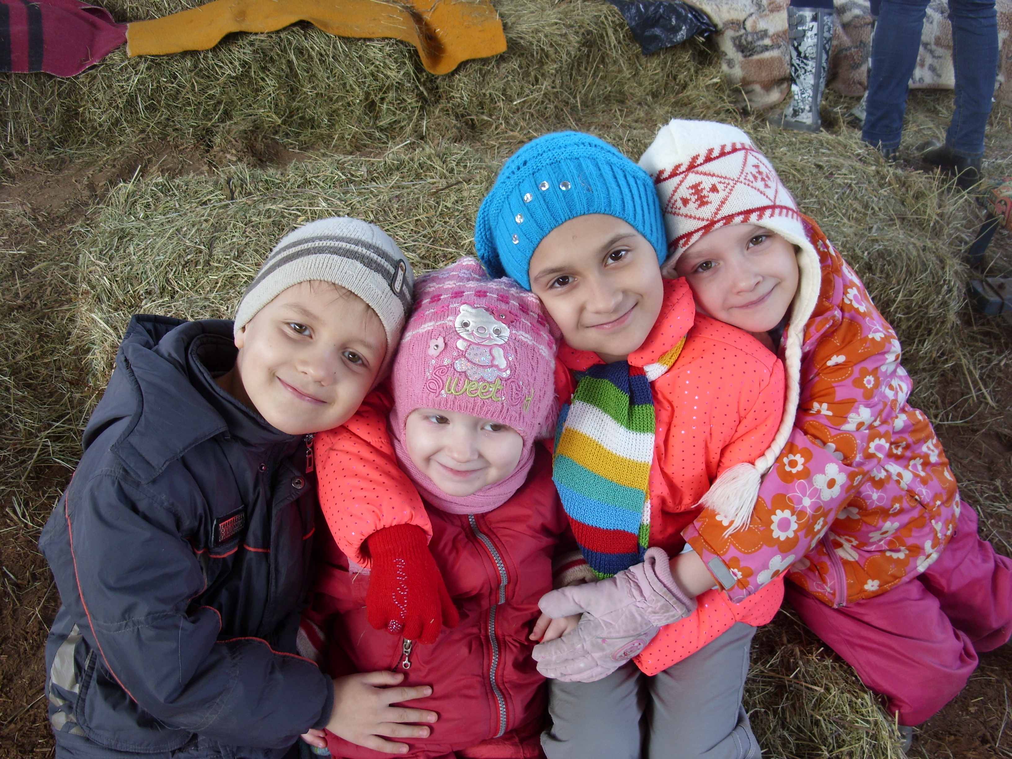 Разработка, организация и проведение исследования потребностей семей, воспитывающих инвалидов