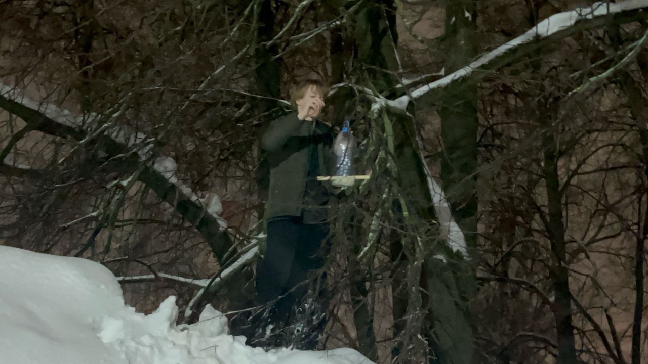 Сохранение популяции городских птиц через систему регулярной подкормки и эко-просвещение. 