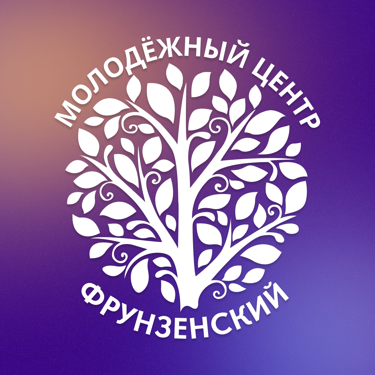 Создание сайта молодежного центра Фрунзенского района Санкт-Петербурга