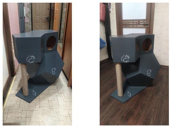 Помощь приюту для бездомных животных «Проект игрового комплекса "Архитектура глазами кошек"»