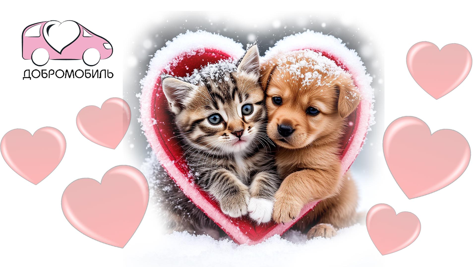 Создание презентации-путеводителя для волонтеров проекта «Добромобиль. Помощь Приютам»