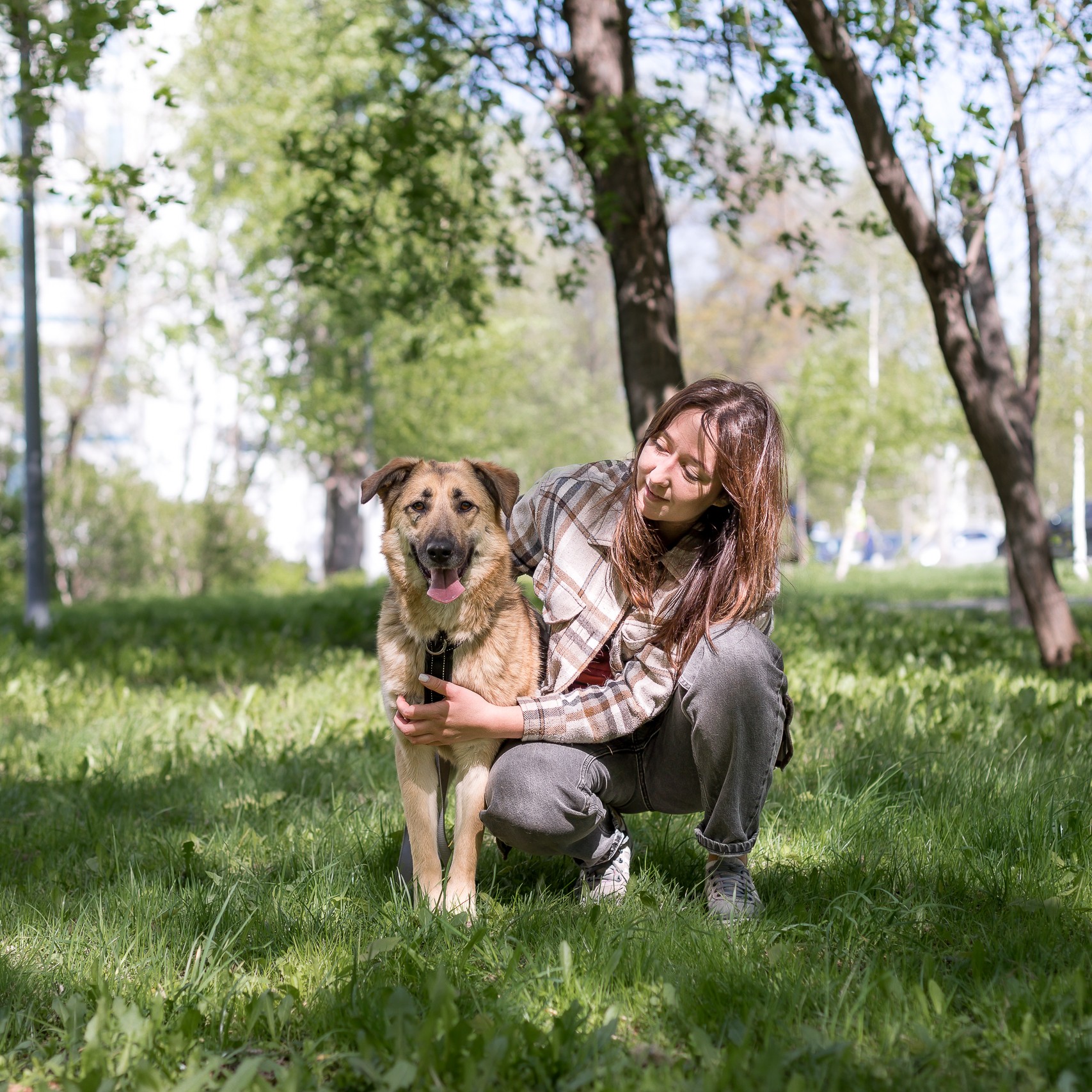 Социализация собак в приюте