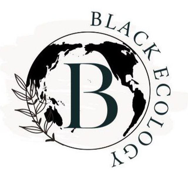 Программа по привлечению внимания к экологическим проблемам Черного озера в г. Новокузнецке