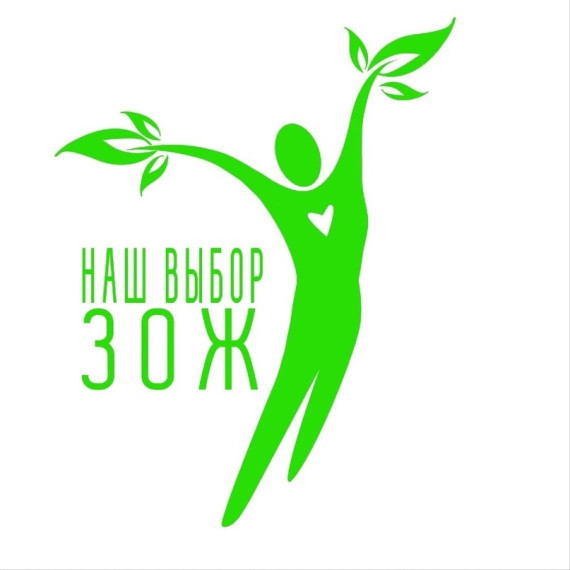 Разработка и проведение мастер-классов по основам правильного и безопасного питания