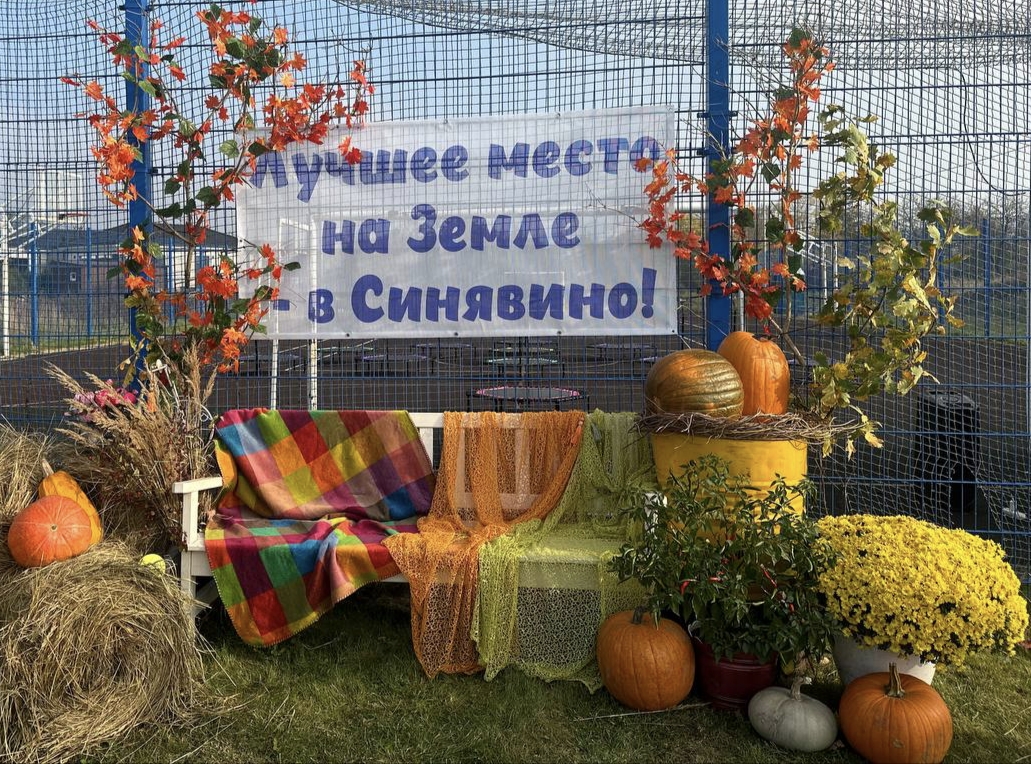 Разработка мероприятий по развитию территории посёлка Синявино Янтарного ГО Калининградской обл.
