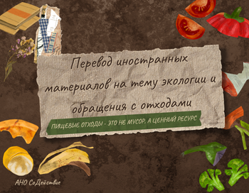 Перевод иностранных материалов на тему экологии и обращения с отходами